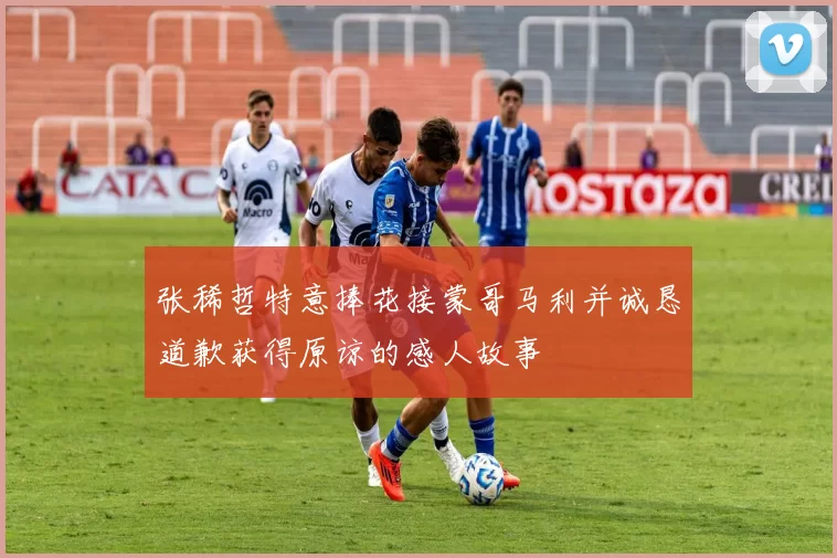 张稀哲特意捧花接蒙哥马利并诚恳道歉获得原谅的感人故事