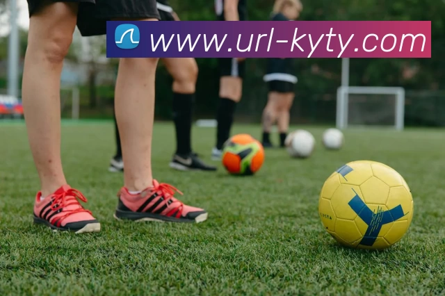 开云体育APP 封面图